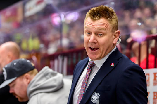 Malmö Redhawks assisterande tränare Jesper Mattsson