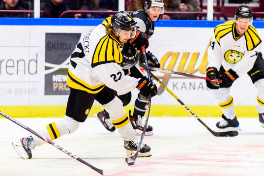 Brynäs Adam Brodecki