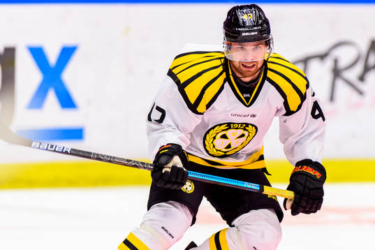 Brynäs Eric Norin