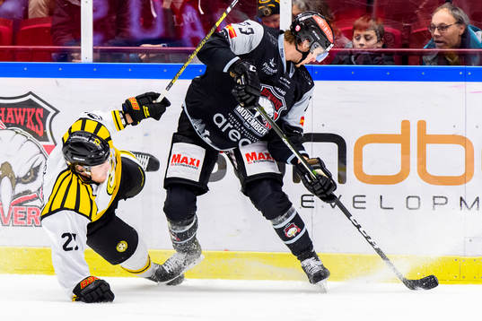 Brynäs Emil Forslund och Malmö Redhawks Adam Ollas