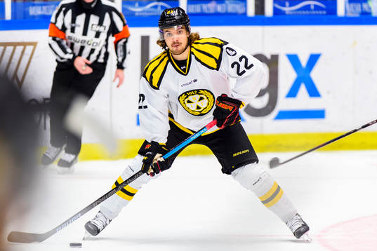 Brynäs Adam Brodecki