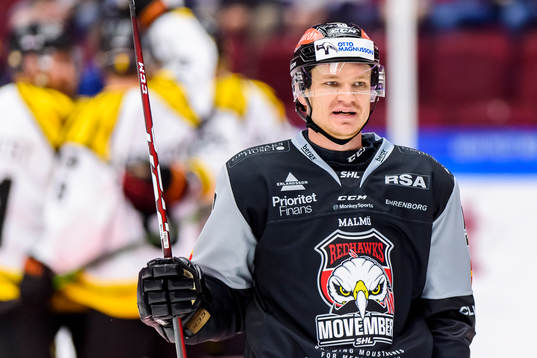 Malmö Redhawks  Tobias Ekberg  deppar