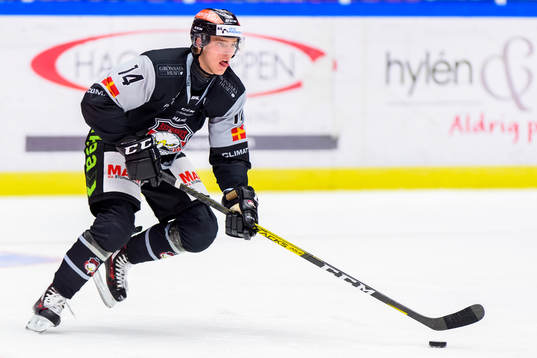 Malmö Redhawks Carl-Johan Lerby