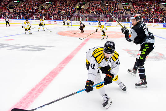 Brynäs Greg Scott och Malmö Redhawks Carl-Johan Lerby