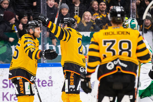 Bläddra bland fler bilder av Ishockey, SHL, Skellefteå - Rögle