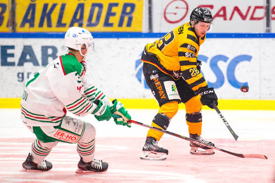 Skellefteås Jesper Frödén