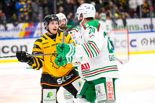 Skellefteås Jesper Frödén