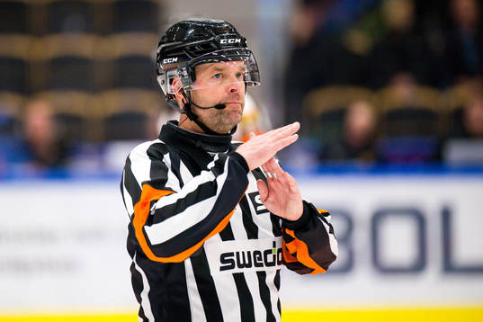 Domare Patrik Sjöberg