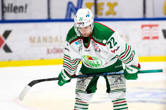 Rögles Daniel Zaar deppar