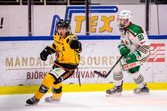 Skellefteås Andreas Wingerli jublar