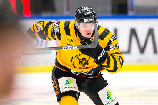 Skellefteås Rickard Hugg