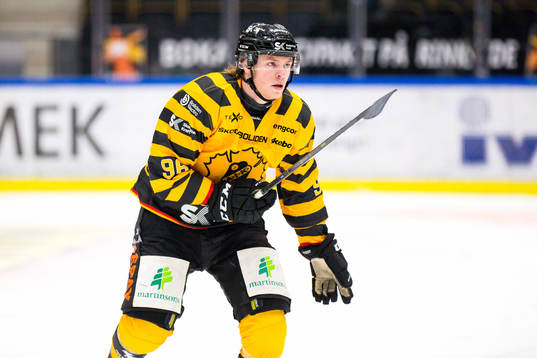 Skellefteås Rickard Hugg
