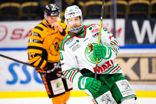 Rögles Ted Brithén