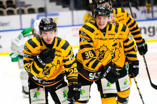 Skellefteås Andreas Wingerli och Rickard Hugg jublar