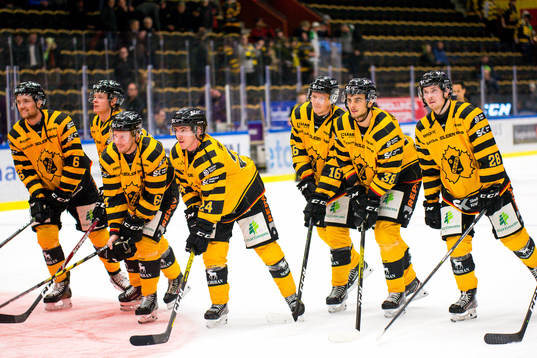 Skellefteås spelare jublar