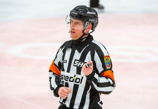 Domare Mikael Holm