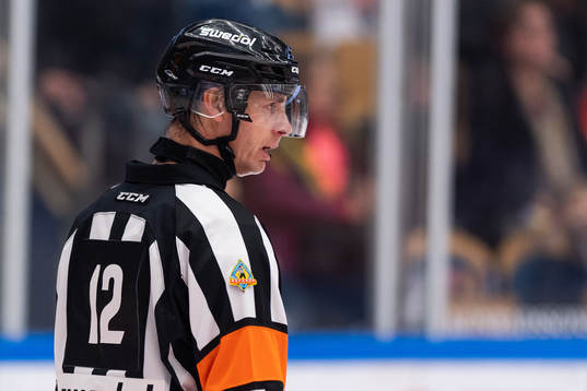 Domare Mikael Andersson