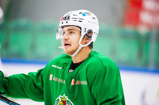 Rögles Leon Bristedt