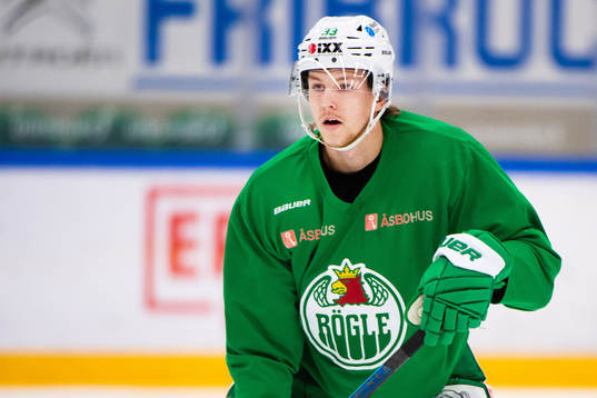 Rögles Niklas Hansson