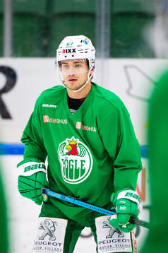 Rögles Leon Bristedt