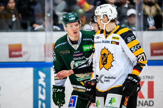 Färjestads Gustav Rydahl och Skellefteås Robin Alvarez