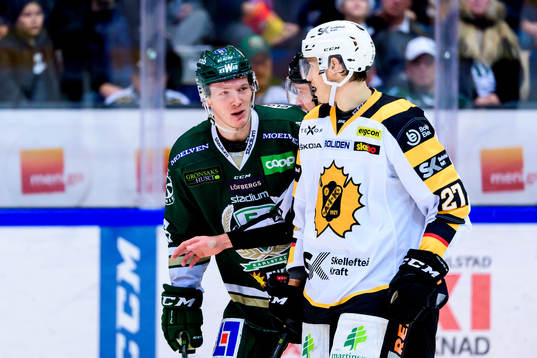 Färjestads Gustav Rydahl och Skellefteås Robin Alvarez