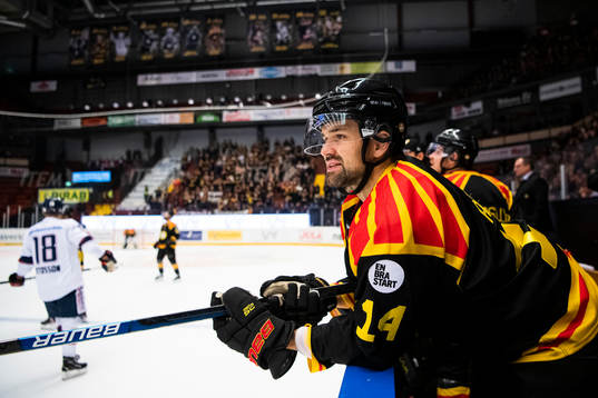 Brynäs Johan Alcén