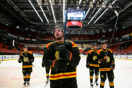Brynäs spelare jublar