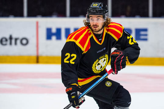 Brynäs Adam Brodecki
