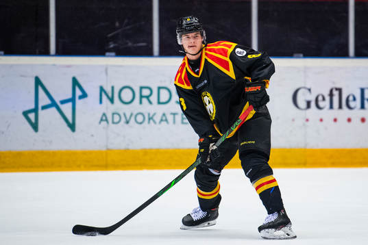 Brynäs Victor Söderström