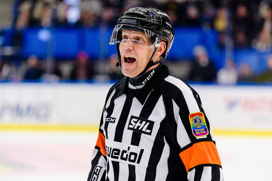 Domare Morgan Johansson