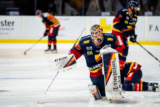 Djurgårdens målvakt Niklas Svedberg