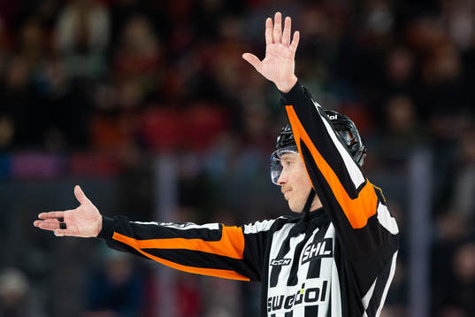 Domare Tobias Björk