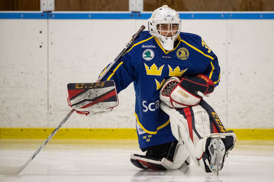 Bläddra bland fler bilder av Ishockey, U16 Elitcamp