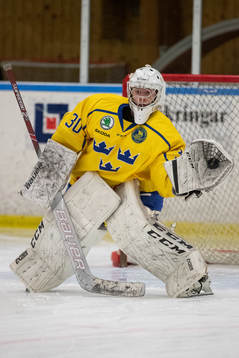 Sveriges målvakt William Larsson