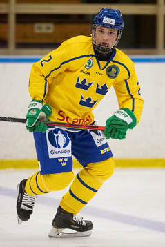 Sveriges Joel Kjellberg