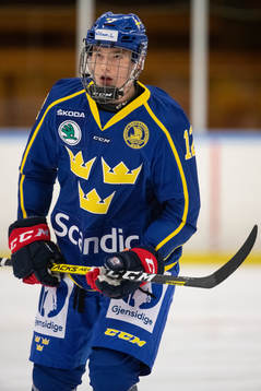 Sveriges William Lagerqvist