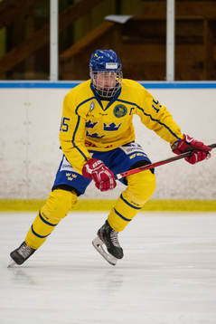 Sveriges Alexander Dahlgren