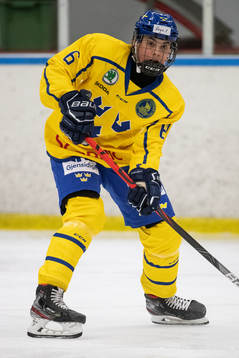 Sveriges Hugo Fransson