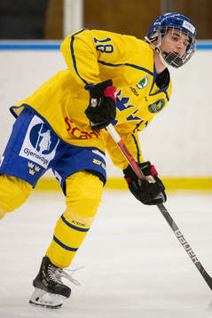 Sveriges Joel Kant