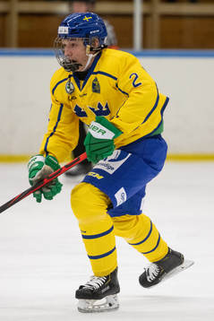 Sveriges Joel Kjellberg