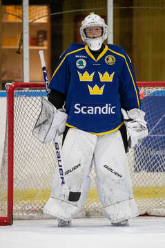 Sveriges målvakt Alexander Hellnemo