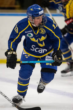 Sveriges William Rosenfors