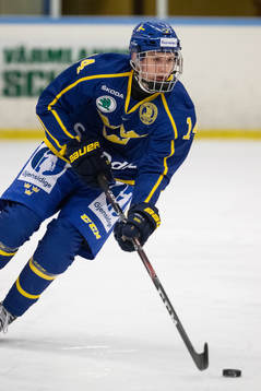 Sveriges Alexander Suzdalev