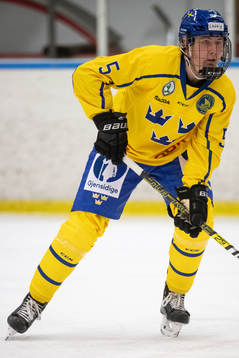 Sveriges Ludwig Ericsson