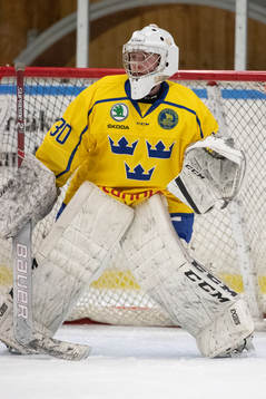 Sveriges målvakt William Larsson