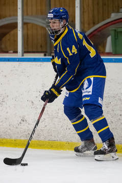 Sveriges Alexander Suzdalev