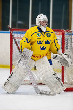 Sveriges målvakt William Larsson