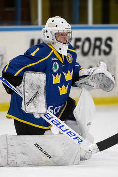 Sveriges målvakt Alexander Hellnemo