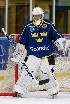 Sveriges målvakt Alexander Hellnemo